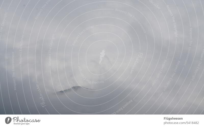 Happy 2,222 Norway Northern Europe Norway 2015 Norway from the ship Norwegian fjord Water mountains Navigation Sunset Sky Clouds Fog Shroud of fog foggy