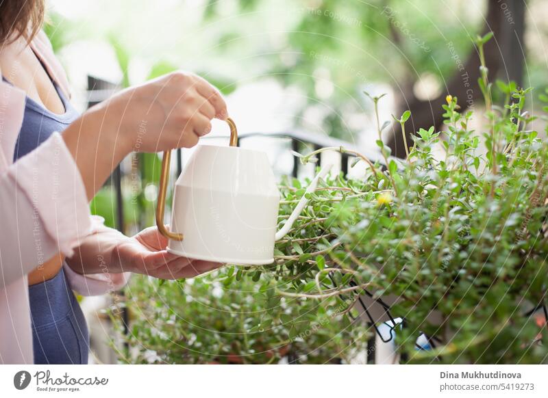 Hand with watering can close-up. Woman watering green plants on the balcony. Houseplants and flowers gardening hobby. Urban jungle millennial home interior apartment.