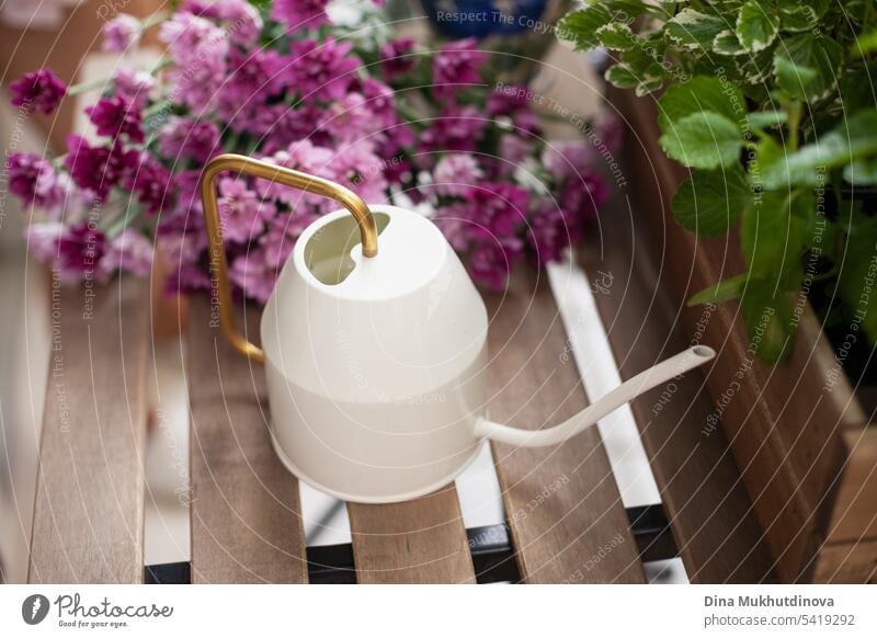 Watering can with flowers and plants close-up. Watering houseplants on the balcony. Indoor gardening hobby. Urban jungle millennial home interior apartment.