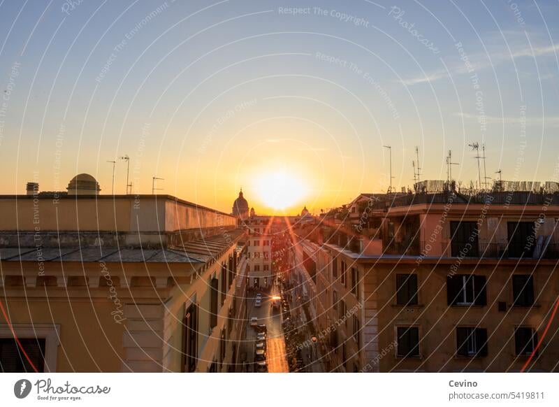 Sunset in Rome Italy Capital city Skyline Cloudless sky Complementary colour Tourism Sightseeing Beauty & Beauty city trip Tourists rooftop landscape