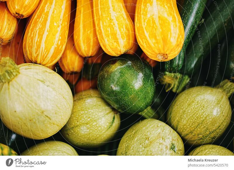 abundance. rich harvest of different varieties of zucchini, yellow round green striped zuchini on the market Summer Food Nutrition Healthy Vegetable Fresh