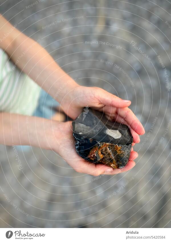 A child holds a flint in his hands Child Baltic Sea Stone Beach Find Indicate search Treasure Nature Exterior shot Vacation & Travel Summer Infancy Playing