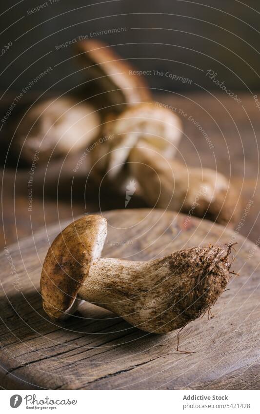 Porcini mushrooms on wooden table porcini boletus edulis cep fresh raw edible fungus organic food natural nutrition rustic ingredient vegan penny bun vegetarian