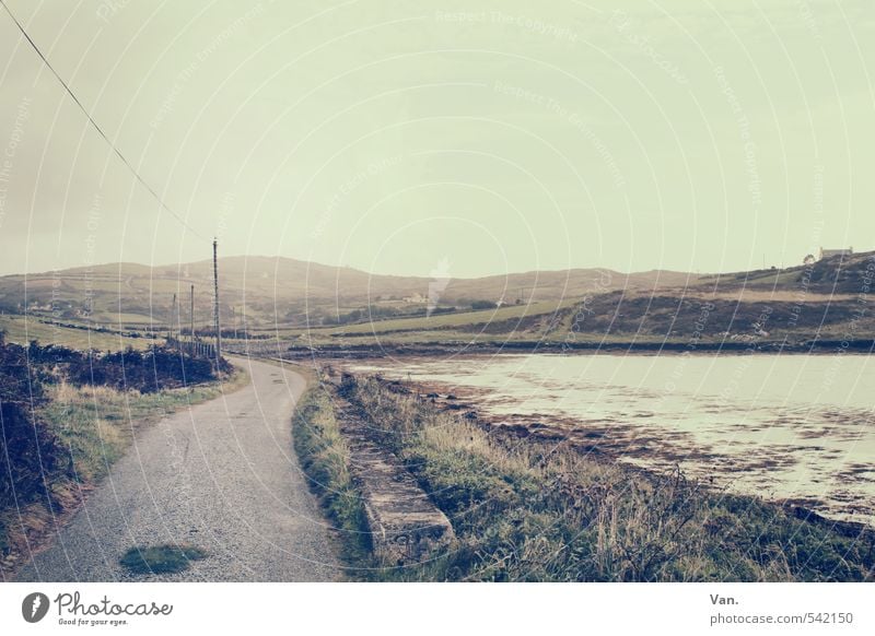 The Landscape is changing Nature Water Sky Clouds Autumn Plant Grass Hill Coast Bay Ireland Street Yellow Electricity pylon Colour photo Subdued colour