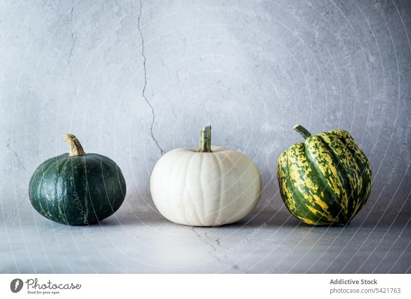 Set of various types of pumpkins on table squash color vegetable food natural fresh set whole assorted organic rustic healthy harvest vegetarian colorful white