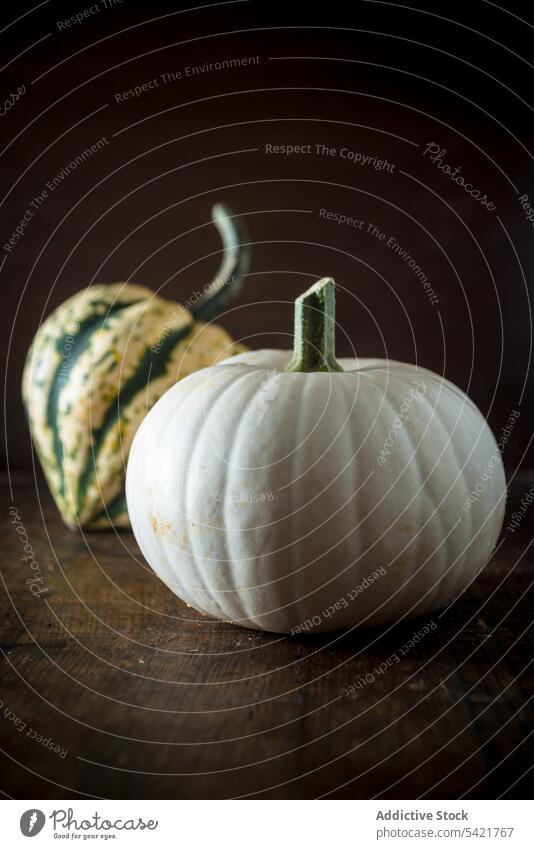 Fresh ripe pumpkins on table squash decorative vegetable food fresh whole natural stripe organic raw healthy vegetarian ingredient vegan peel nutrition harvest