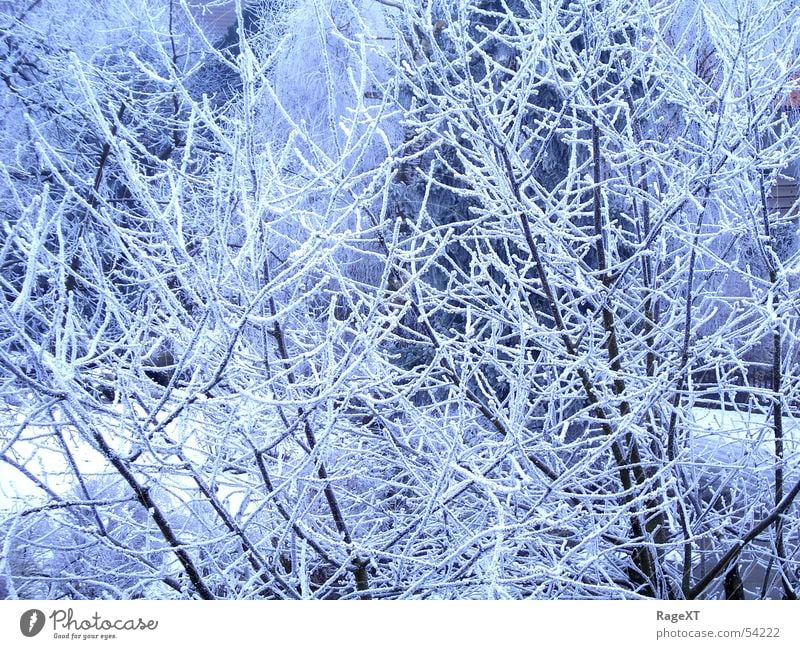 Minus degrees1 Winter Cold Fresh Ice Blue Bright Frost