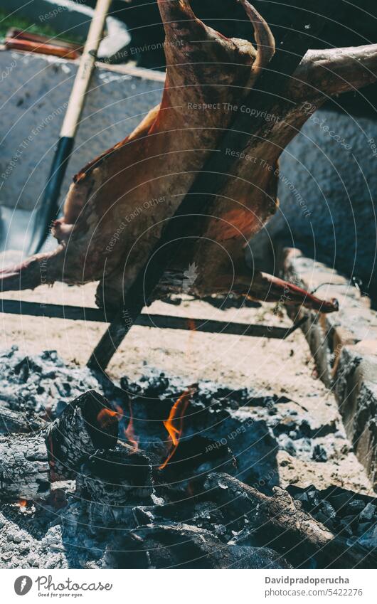 Lamb roasting in a barbecue lamb roasted grilled ribs meat animal charcoal food bbq cooking cuisine embers stick summer outdoor fire whole hot mutton heat