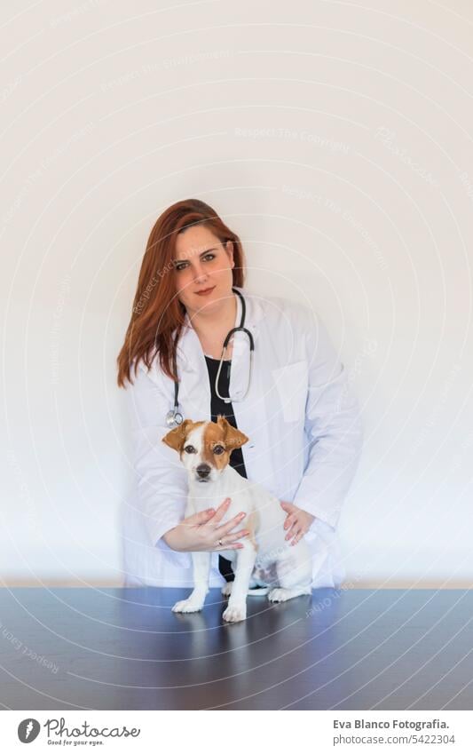 Portrait of a young veterinarian woman examining a cute small dog by using stethoscope, isolated on white background. Indoors sick specialist foot laptop