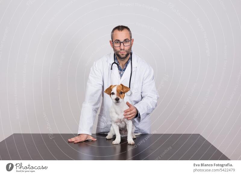 young veterinarian man examining a cute small dog by using stethoscope, isolated on white background. Indoors medicine owner male clinic happiness analysis