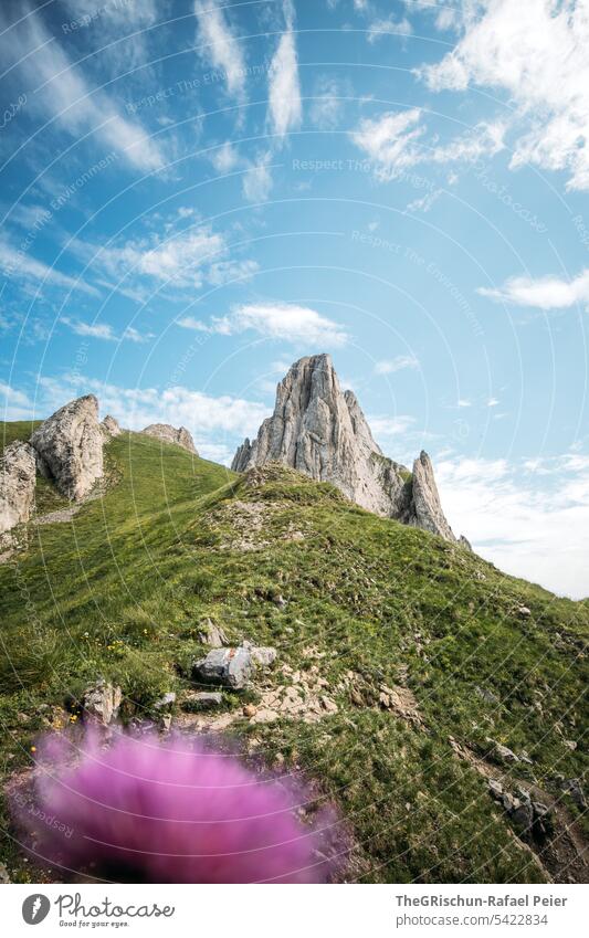 Mountain with flower in foreground Vantage point Panorama (View) Sky Clouds Alpstein hiking country appenzellerland Appenzell mountain Grass stones Rock Walking