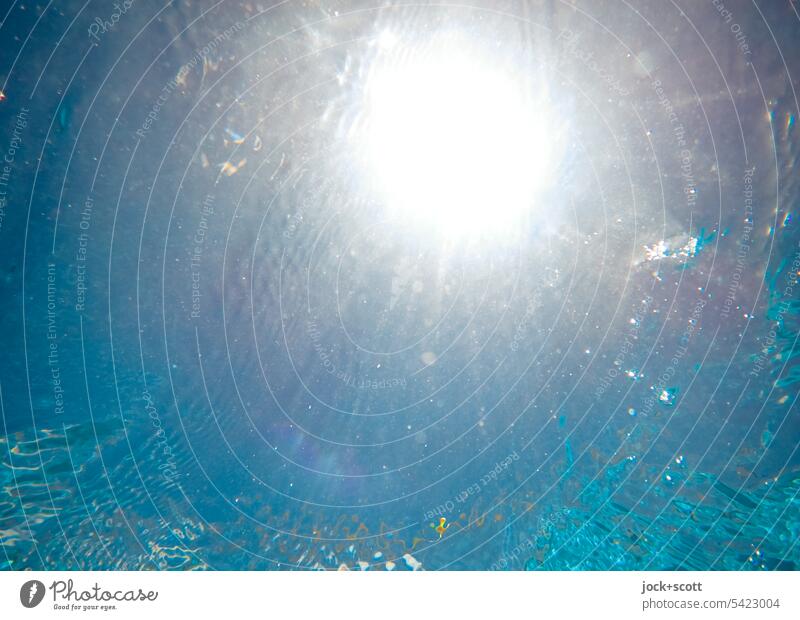 Sunshine meets swimming pool Swimming pool Water Sunlight Blue underwater Neutral Background Moody Ease Warmth Dive Underwater photo Summer Sunbeam