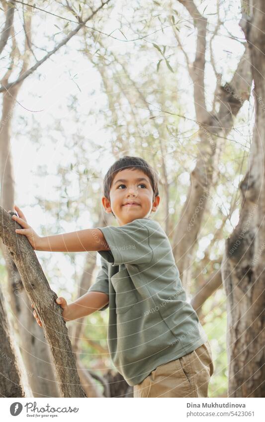 curious diverse kid climbing the olive tree in the park, smiling and looking away to the side. Five or six years old boy in the park in summer, exploring the world.