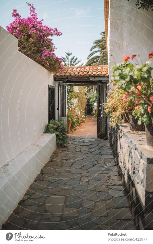 #A0# Mediterranean world Spain Spanish Village settlement City trip Discover House (Residential Structure) Tourism Building Old town Facade Architecture