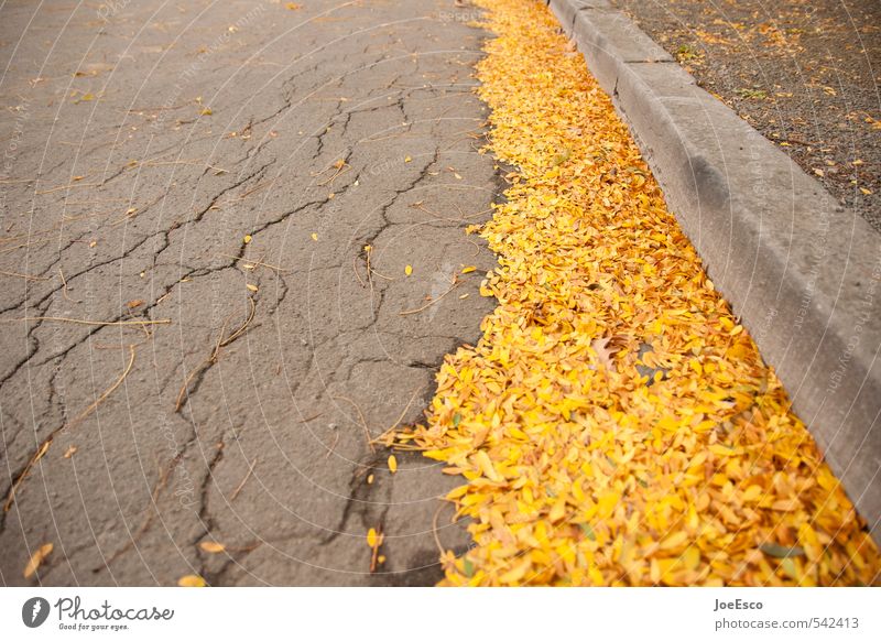 #542413 Autumn Town Yellow Gold Curbside Leaf Street cleaning Sweep Lamp Decline Seasons Arrangement Orderliness Colour photo Exterior shot Detail Deserted