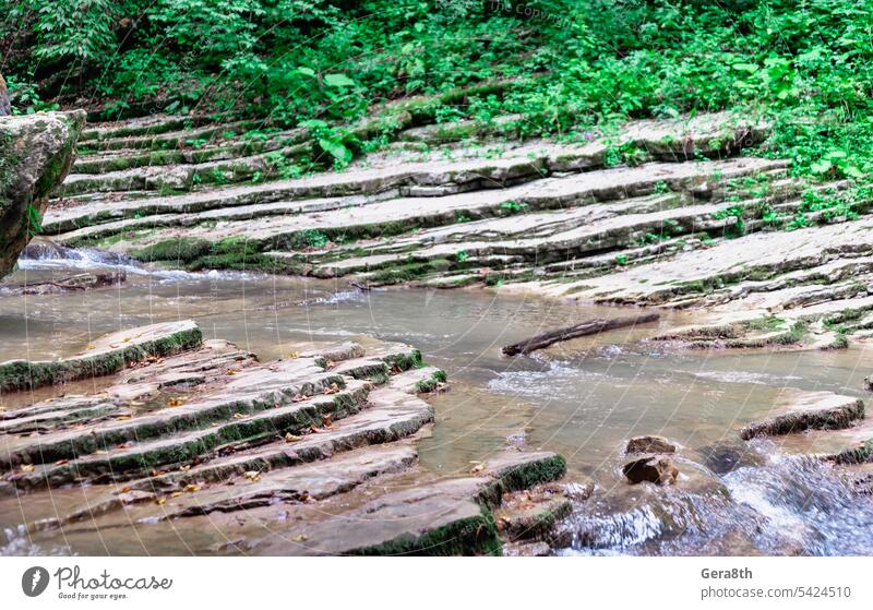 landscape mountain river and rocks with green tropical plants in thailand background beautiful climate environment flow forest fresh jungle moss natural nature