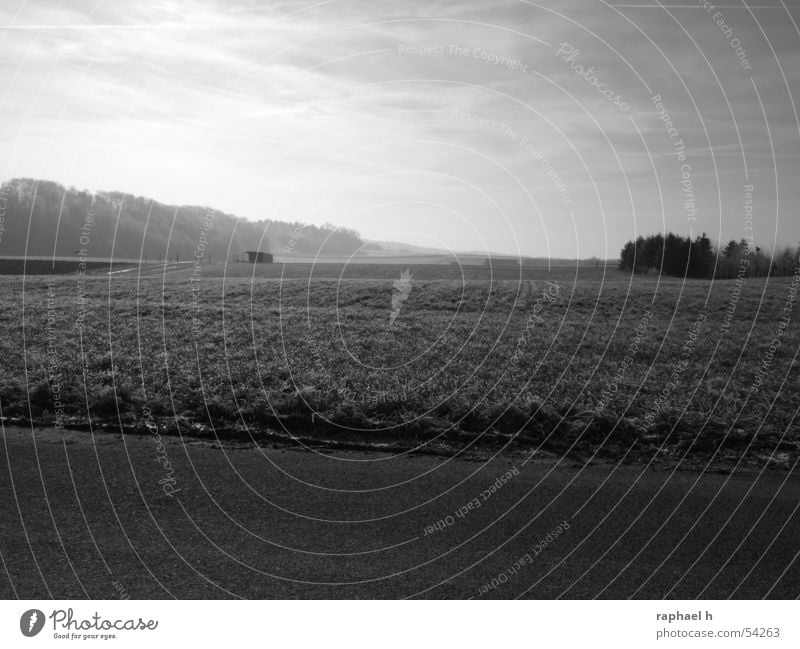 winter landscape Meadow Fog Far-off places Horizon Field Landscape Sky Barn