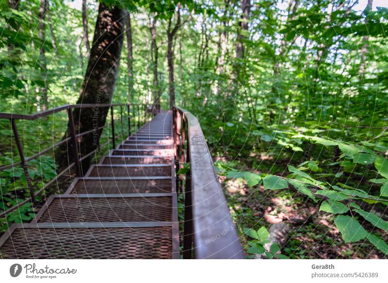 long stairs in the jungle in thailand background bridge climate direction environment forest go green hanging hiking landscape natural nature no one no people