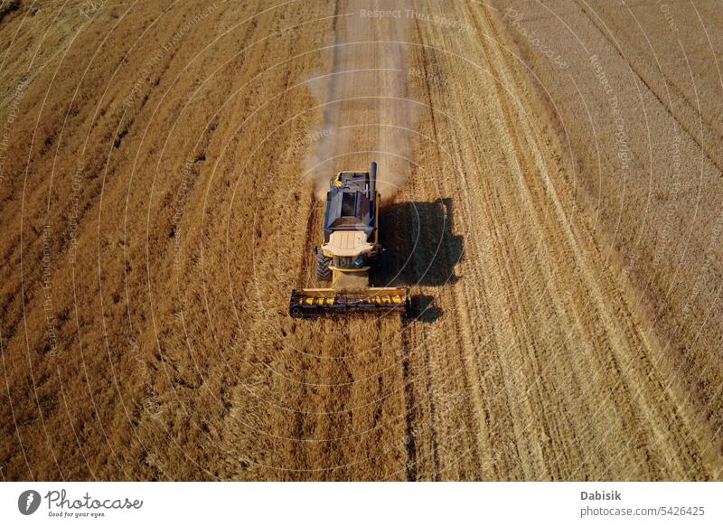 Combine harvester working in agricultural field. Harvest season combine harvester harvesting rye agronomy barley aerial wheat food summer landscape autumn farm