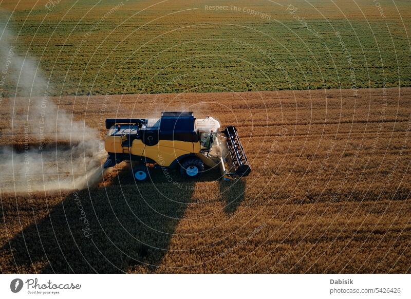 Combine harvester working in agricultural field. Harvest season combine harvester harvesting rye agronomy barley aerial wheat food summer landscape autumn farm