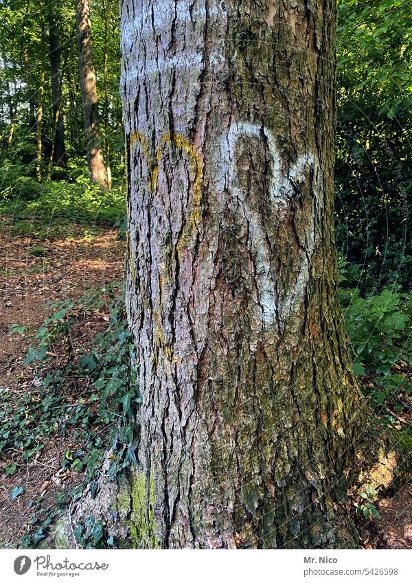 double-hearted Romance Tree Declaration of love Sincere Emotions Relationship Tree trunk Forest Together Happy Friendship Heart-shaped Sympathy