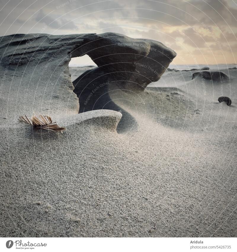 Whims of nature | sculpture from sand, formed by wind and waves Sand Beach North Sea Sculpture Hollow Vista Wind Evening Ocean coast Sky Vacation & Travel