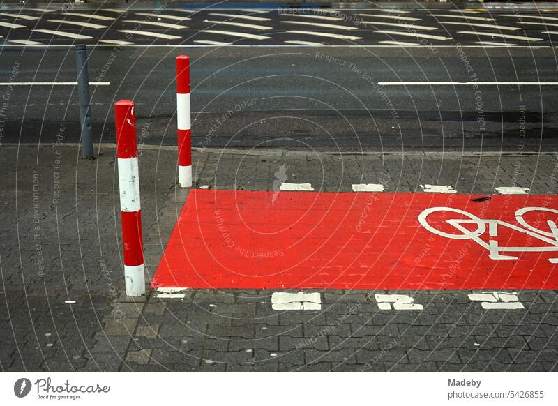 Road marking in red and white on gray asphalt for the bike lane with bollards after rain in the sunshine on Hanauer Landstraße in the Ostend of Frankfurt am Main in the German state of Hesse