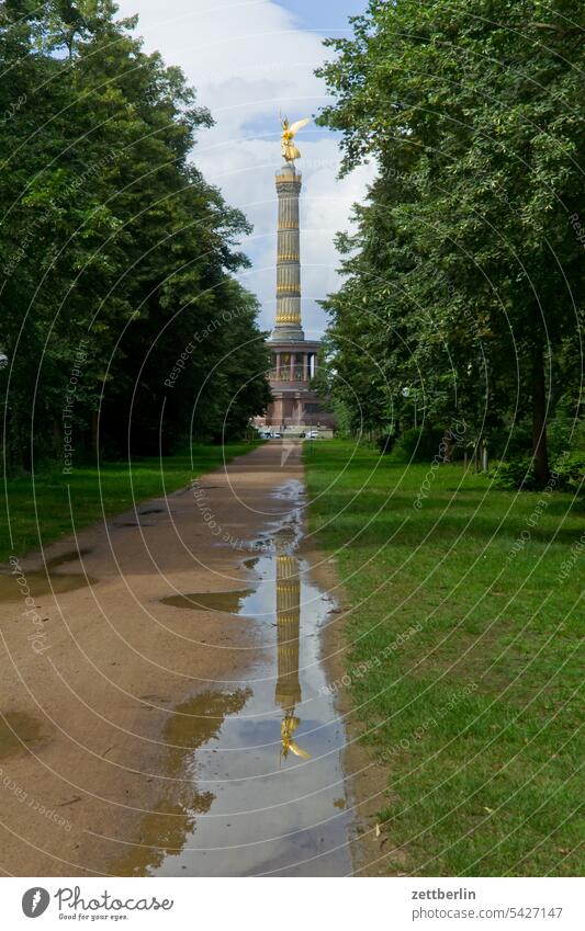 Victory column again / reflection / puddle Evening Tree Berlin leaf gold Monument Germany Twilight else Closing time Figure Gold Goldelse victory statue