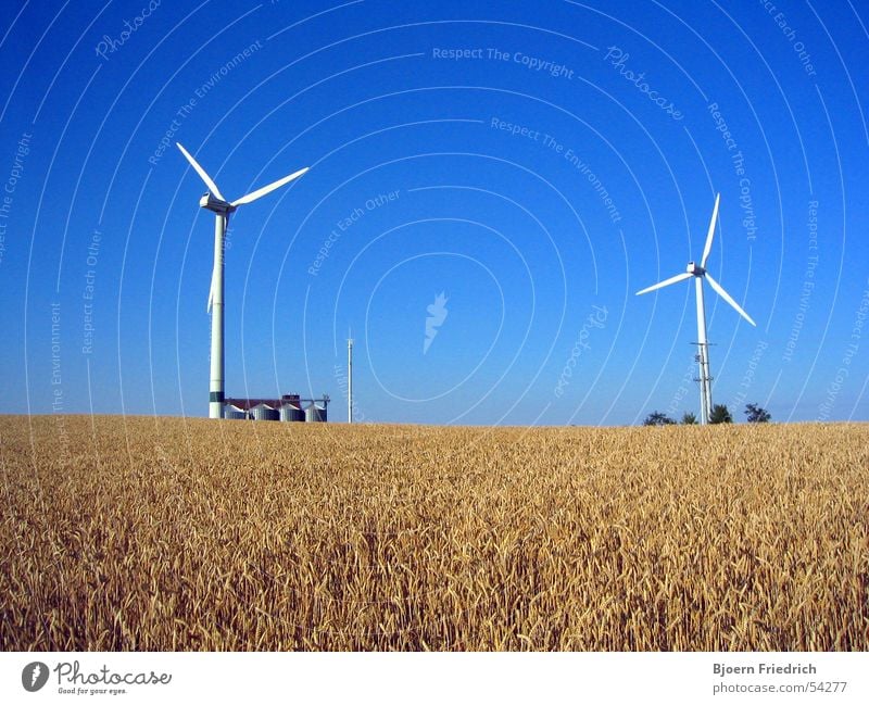 wind turbines Agriculture Wind energy plant Silo Telegraph pole Ear of corn Summer White Yellow Energy industry Nature Power Americas Gastronomy Grain Sky