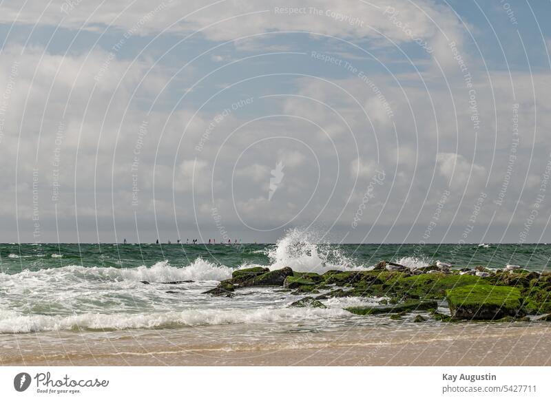 Wave crash at a stone groyne Wave action Sylt North Sea coast Swell gulls Crest of the wave Surf Windsurfer surf sails competition Surfing windsurfing Weather