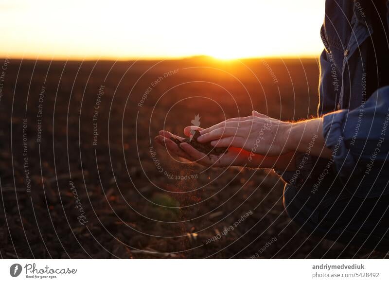 Male farmer's hand holds a handful of dry ground and checks soil fertility and quality before sowing crops on plowed field at sunset. Cultivated land. Concept of organic agriculture and agribusiness