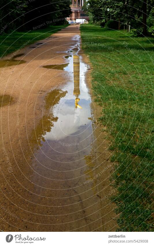 Victory column reflected in a puddle Evening Tree Berlin leaf gold Monument Germany Twilight else Closing time Figure Gold Goldelse victory statue big star