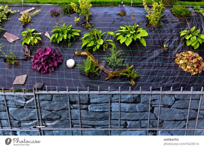 front yard Real estate Neighbor Fence garden planning planting Rock garden Front garden Twig Depth of field Copy Space shrub Sun Summer Garden plot