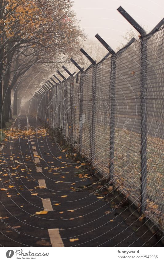 only one way Plant Sky Autumn Bad weather Tree Leaf Park Town Outskirts Deserted Fence Metal Old Sadness Faded Dark Sharp-edged Large Infinity Creepy Hideous