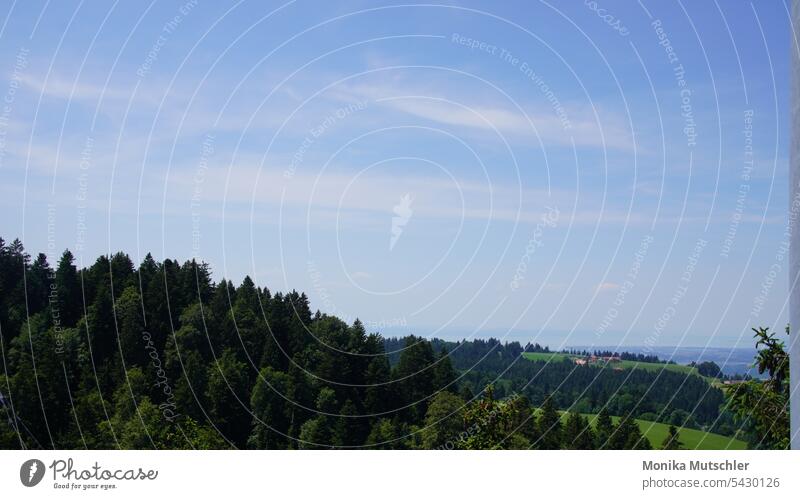 Beautiful peaceful landscape Forest of Bregenz bregenzerwald mountains Colour photo Mountain Landscape Nature Tourism Summer Far-off places Trip Environment