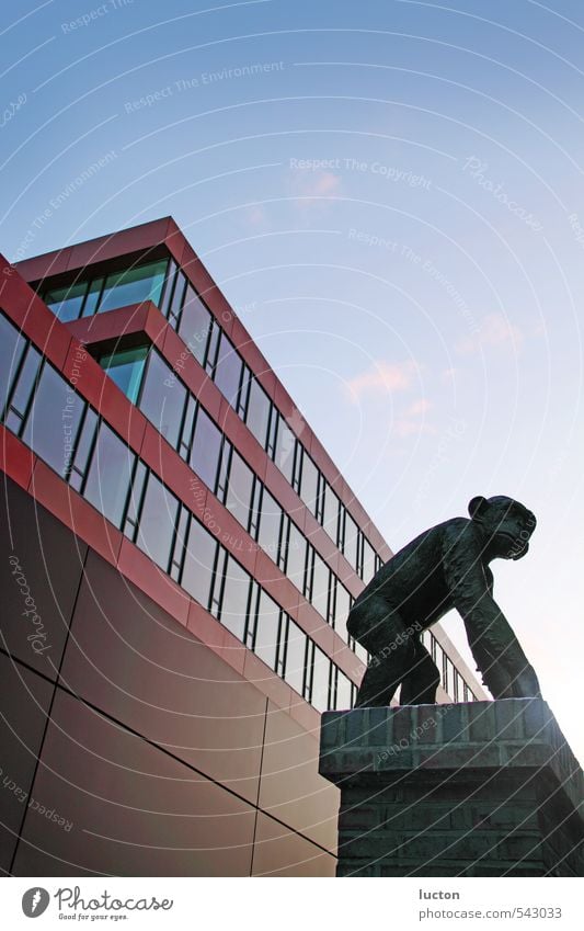 Monkey sculpture in front of modern office building Sculpture Culture Cloudless sky Sunrise Sunset Sunlight Beautiful weather Town Downtown Bank building