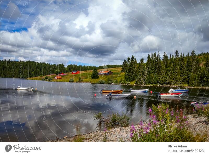 Mountain lake " Holden "near Malm, before Steinkjer / Norway Europe Vantage point Beautiful weather Adventure Sky travel vacation mountains Vacation & Travel