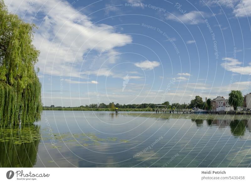 Bright blue sky over the city canal, which looks like a large lake. Left a part of a weeping willow, right a jetty and houses in between now and then a tree in the background meadow and forest. The white clouds are reflected in the water.