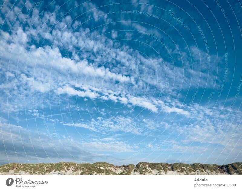 Sky over North Sea dunes Clouds duene Marram grass Landscape coast Nature Vacation & Travel Beach Sand North Sea coast Relaxation Denmark Tourism Ocean voyage