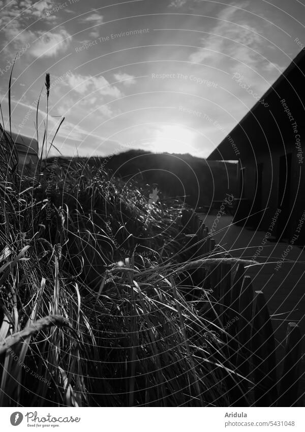 Sunset at campsite b/w Sunlight Camping site Back-light grasses dunes North Sea coast Fence House (Residential Structure) Clouds Mobile home Vacation & Travel