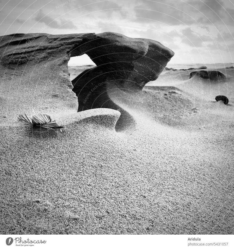 Even holes do not last forever | sculpture made of sand, shaped by wind and waves b/w Sand Beach Sculpture Sand sculpture Ocean North Sea Nature Hollow