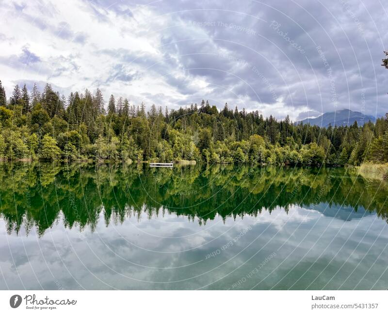 The lake rests still Lake Forest trees Clouds reflection Reflection Water Landscape Calm Surface of water Idyll Nature Lakeside Water reflection Peaceful