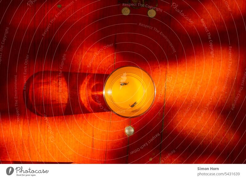 Two wasps drowned in orange juice in sunlight Shadow Mood lighting Orange juice Wasps late summer Glass Reflection Shaft of light daylight Yellow sunny yellow