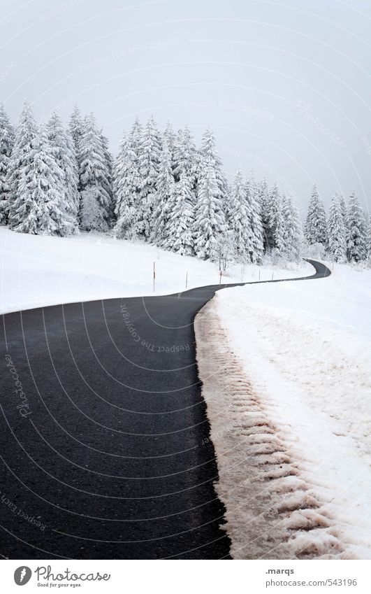 far away Trip Adventure Winter vacation Nature Landscape Snow Tree Hill Transport Street Lanes & trails Simple Cold Moody Beginning Perspective Target Future