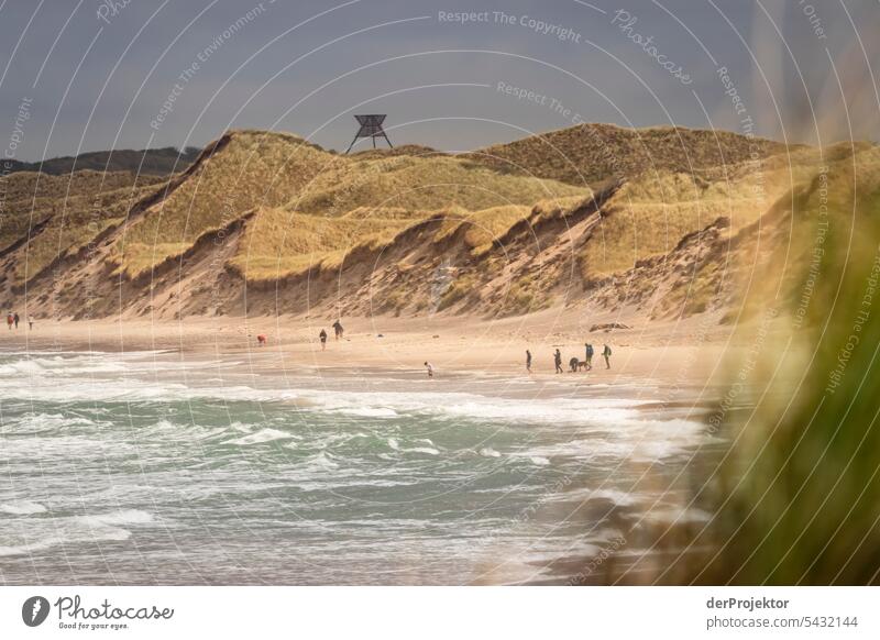 Dunes on the beach of Vorupør in Denmark III Sand Colour photo Relaxation Beach life Vacation & Travel bathe Recreation area vacation Vacation mood Ocean