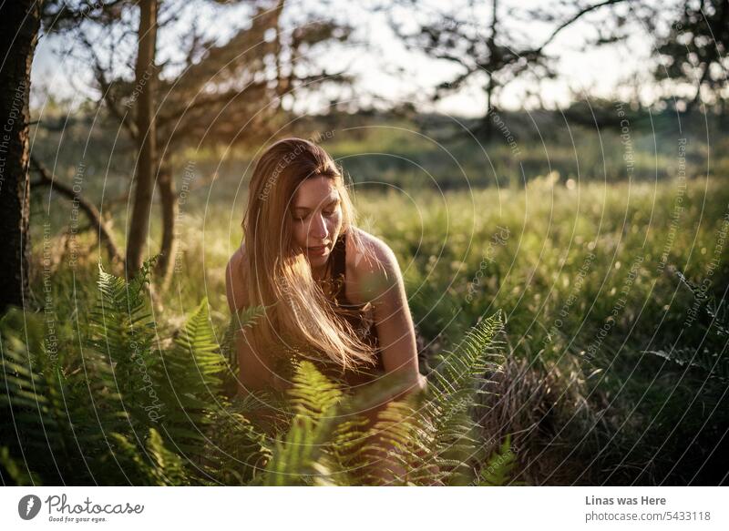 A lovely evening in the green woods with a pretty brunette girl. A warm golden light, a gorgeous woman, and a wanderlust feeling. Summer love. Green nature