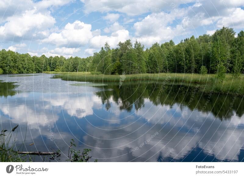 Lake in green nature with blue sky and white clouds water Germany land destination hesse trees attraction backdrop Rotes Moor wetland landscape reflection