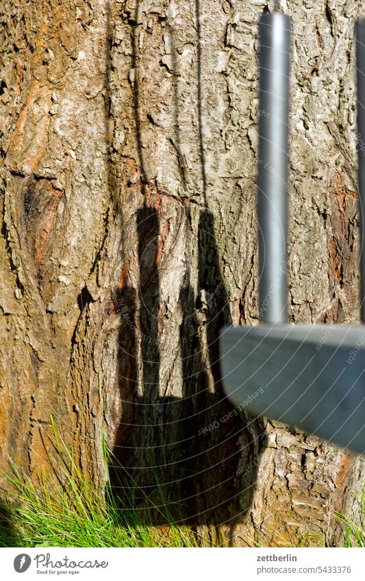 The shadow of the swing Branch Tree Relaxation holidays Garden allotment Garden allotments Deserted Nature Plant tranquillity Holiday season Garden plot Summer