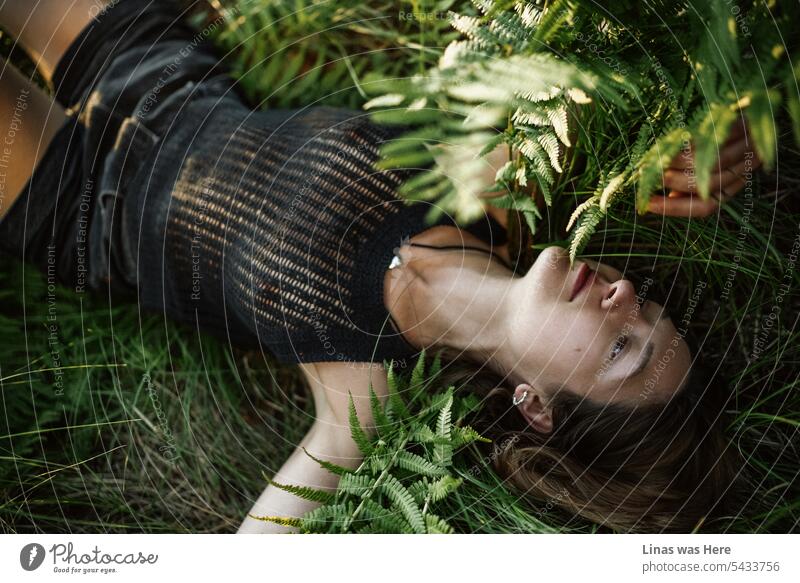 A brunette girl is lying down on the ground surrounded by green grass and wild ferns. A pretty and sensual woman is enjoying good weather on a fine summertime afternoon. Summer love.