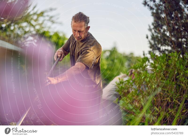 Male gardener raking the the flower bed while the collegue is sweeping the terrace in summer artisan builder concept confident copy space craft craftsman